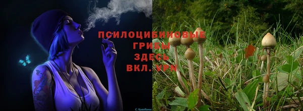 кокаин колумбия Абаза